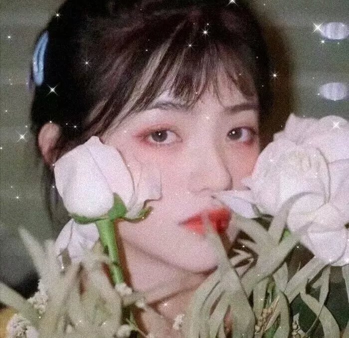 湄江情浪