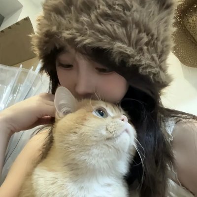 厨房的爱丽丝